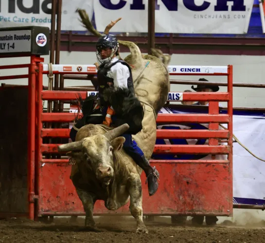 The Badlands Circuit Finals Rodeo kicks off in Minot